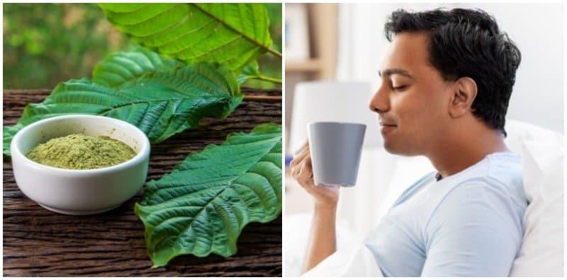 Air Ketum Boleh Tingkatkan Tenaga Batin Lelaki? Ini Info Penting Untuk Anda!