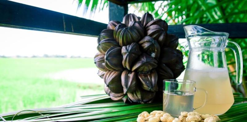 Tak Sangka Ada Banyak Khasiat Nira Nipah, Lepas Tahu, Mesti Anda Kerap Nak Minum!