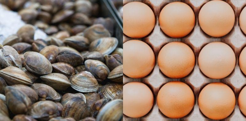 Selalu Penat Dan Rasa Nak Pitam? Jom Cuba 30 Makanan TERBAIK Untuk Tambah Darah!