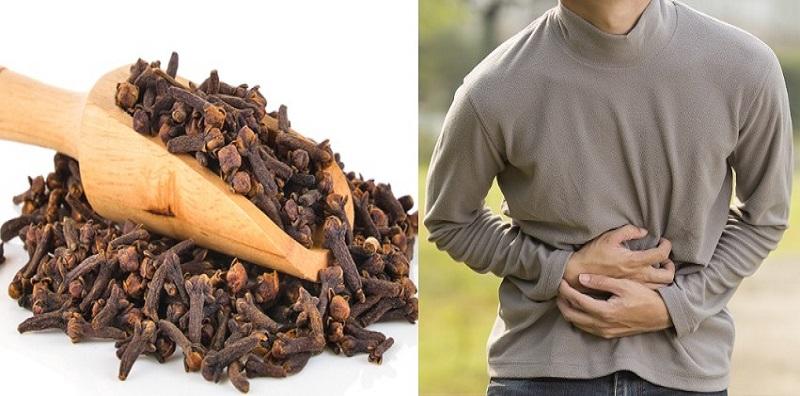 khasiat-bunga-cengkih